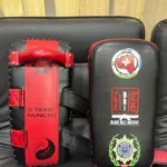 Photo 6: Custom Thai pads for the Black Belt Institut and V Tiger Kung-Fu